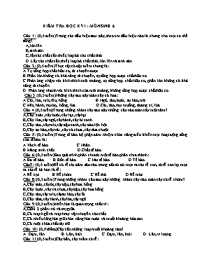 40 câu hỏi trắc nghiệm Sinh học 6 (Kèm đáp án)